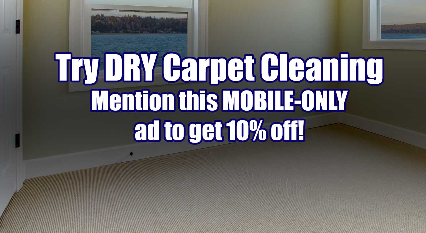 Carpet Palm Harbor Fl Rci Flooring